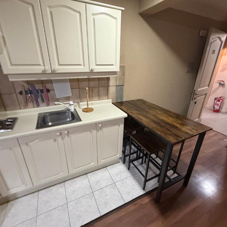 departamento pet friendly - One-Bedroom Apartment - 3