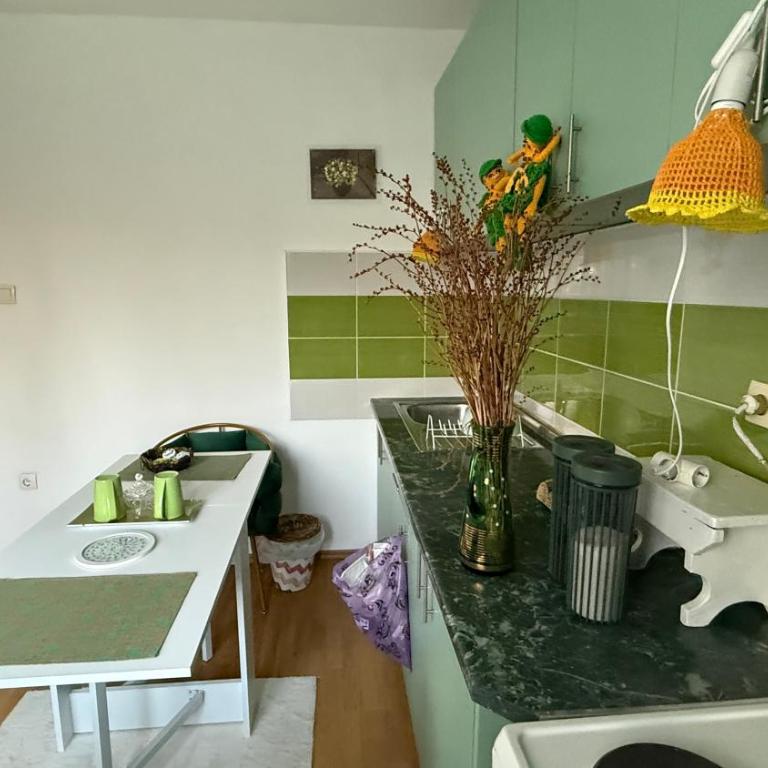 Kukic Apt - Apartman sa 1 Spavaćom Sobom - 6