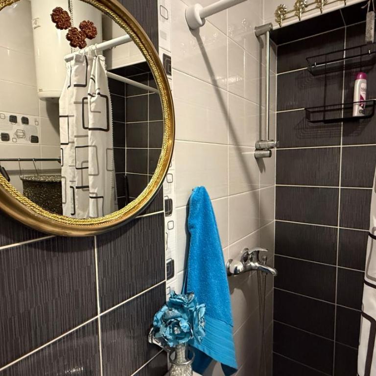 Kukic Apt - Apartman sa 1 Spavaćom Sobom - 5