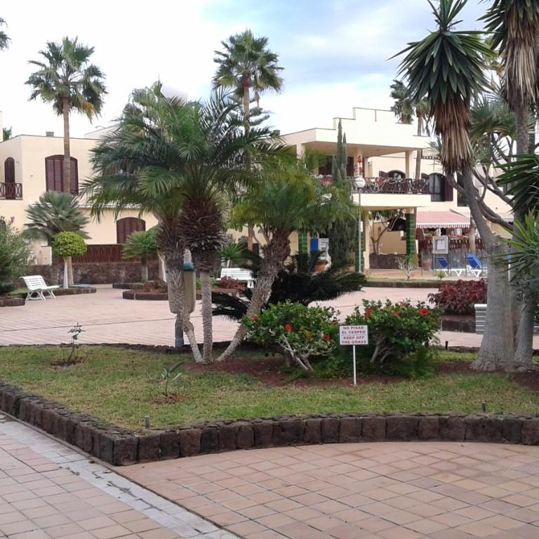 Tagoro Park - Apartamento de 1 dormitorio - 22