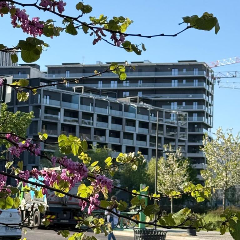 Domus Milano - Appartamento con 1 Camera da Letto - 14