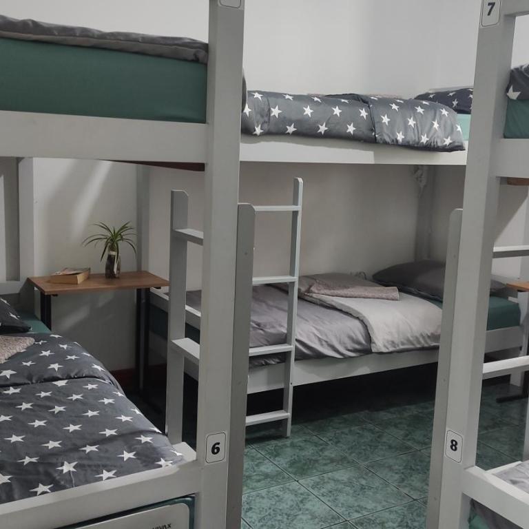 Woodpecker Backpacker Hostel - Krevet u 6-krevetnoj Mešanoj Spavaonici - 3