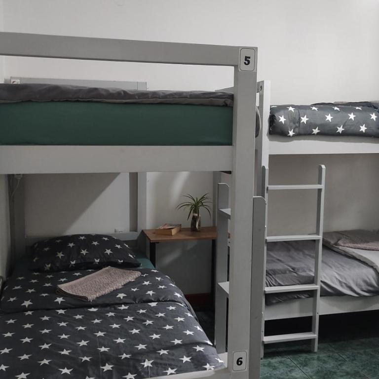 Woodpecker Backpacker Hostel - Krevet u 6-krevetnoj Mešanoj Spavaonici - 4