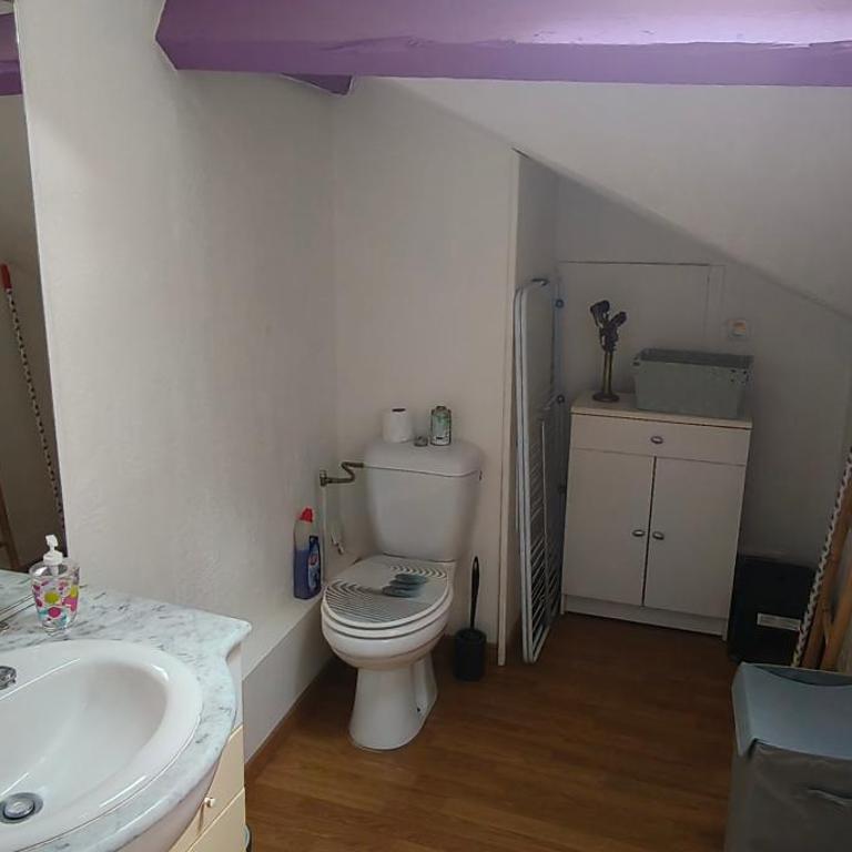 Appartement T2 centre ville idéal cure ou vacances - Apartamento de 1 dormitorio - 7