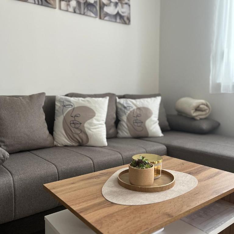 ADA Vrnjacka Banja - Apartman sa 1 Spavaćom Sobom - 18