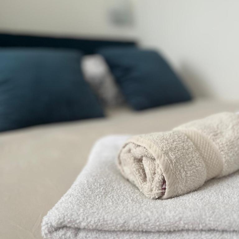 ADA Vrnjacka Banja - Apartman sa 1 Spavaćom Sobom - 20