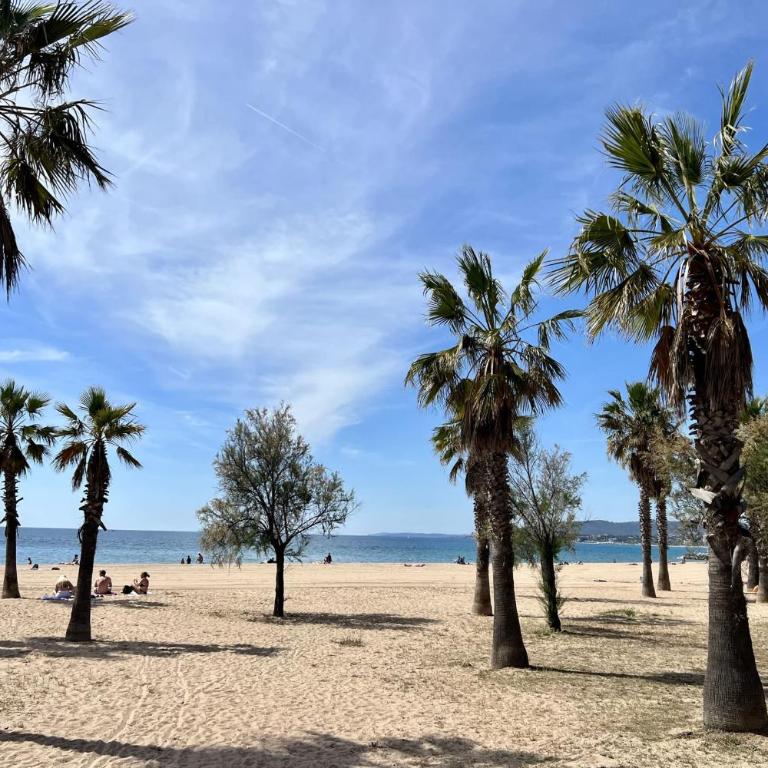 Joli studio avec terrasse situé à Port Fréjus - Studio - 12