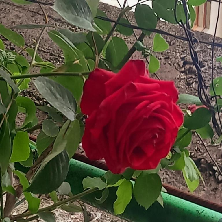 Apartman F&N - Two-Bedroom Apartment - 3