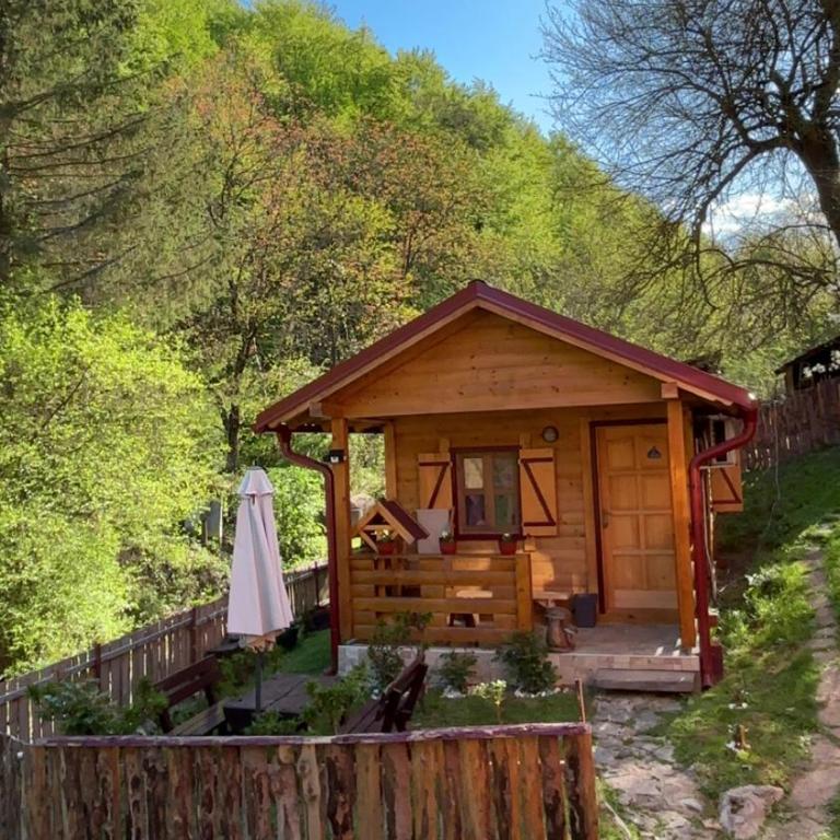 Brvnara Novičić - Apartman sa 1 Spavaćom Sobom - 3