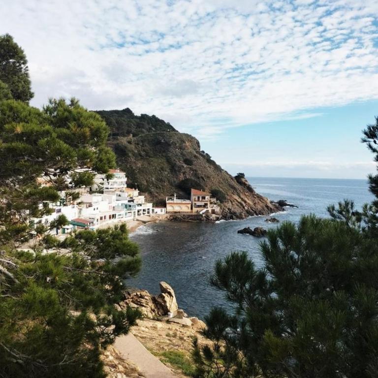 3- Cala Margarida 1 - Apartamento de 2 dormitorios con balcón y vistas al mar - 31