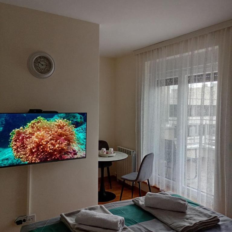Studio 1212 - One-Bedroom Apartment - 6