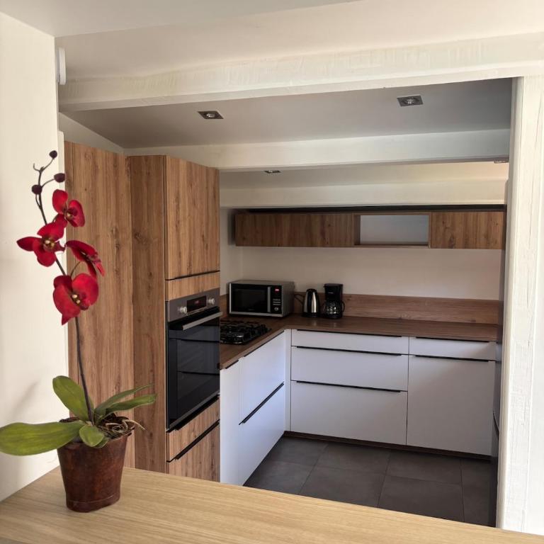 Villa near Cannes with private pool - Villa 2 Chambres - 5