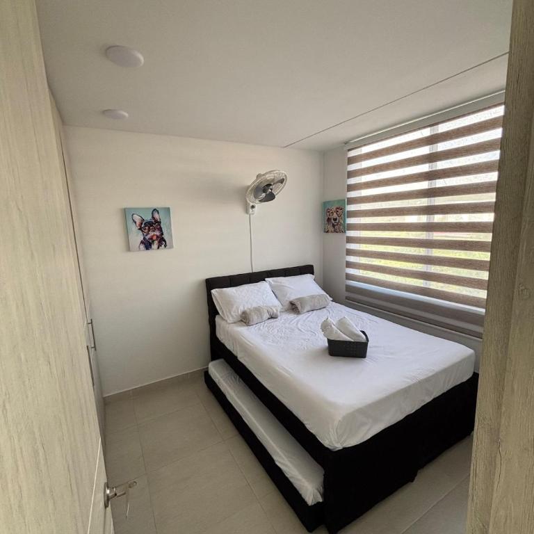 Modern house with private pool Cabo Verde Praia - Casa - 2