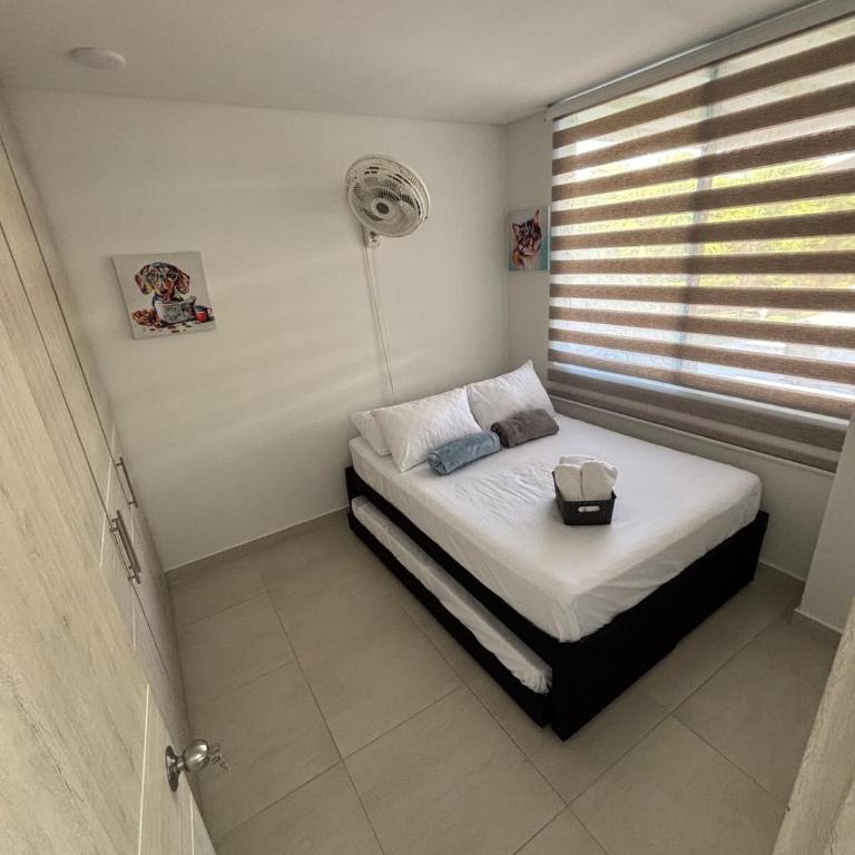 Modern house with private pool Cabo Verde Praia - Casa - 22