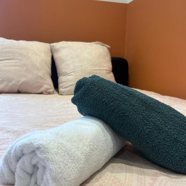 Le Nid douillet Nancéien - Appartement 1 Chambre - 10