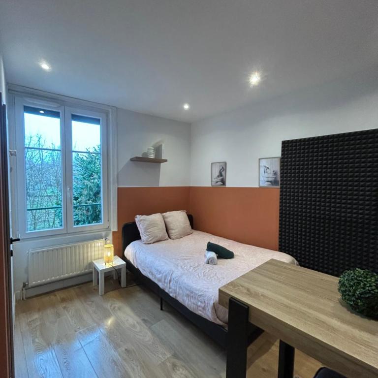 Le Nid douillet Nancéien - Appartement 1 Chambre - 12