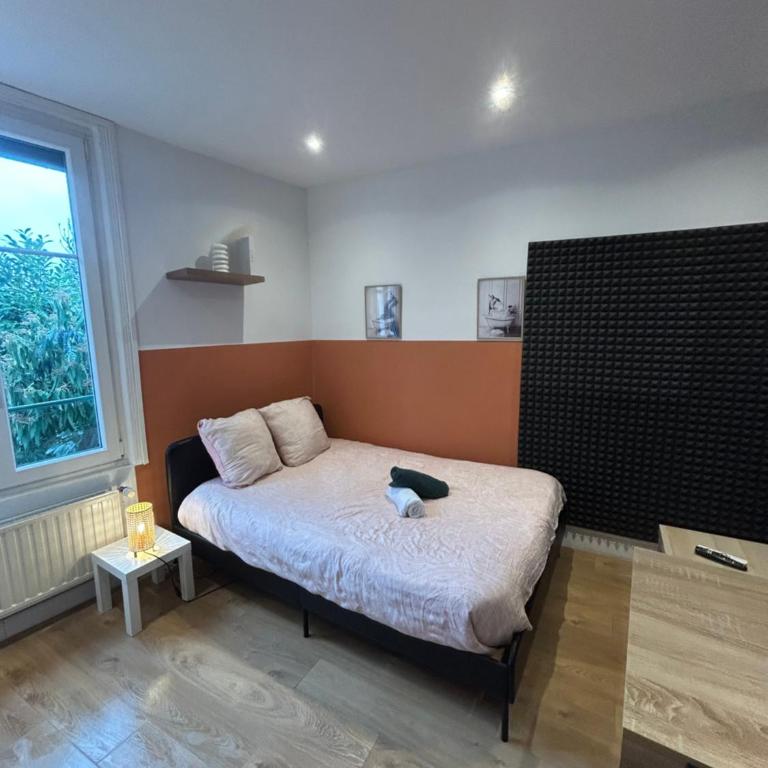 Le Nid douillet Nancéien - Appartement 1 Chambre - 16