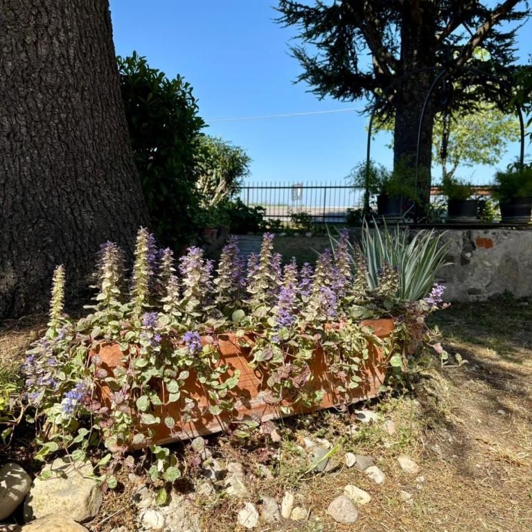 Casa Olinda - Appartamento con 2 Camere da Letto - 9