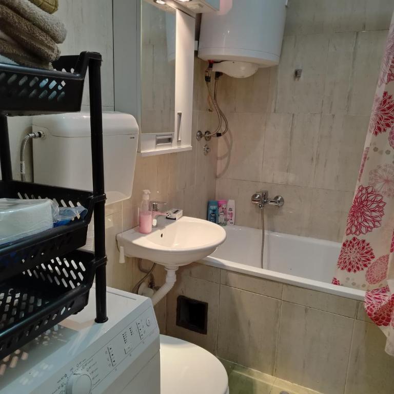 Georgije's apartment - One-Bedroom Apartment - 4