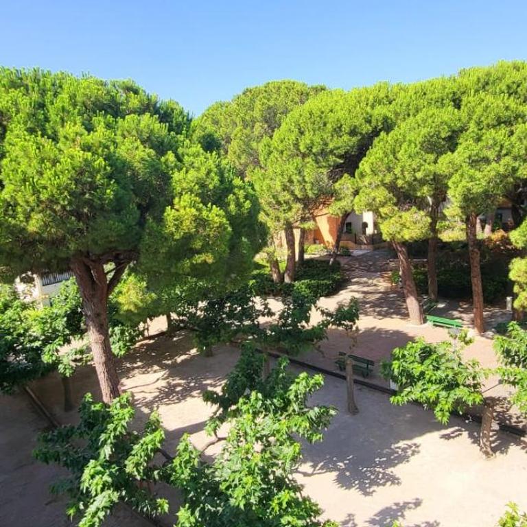 Duplex Camargue Village Type 2 - Apartment - 33