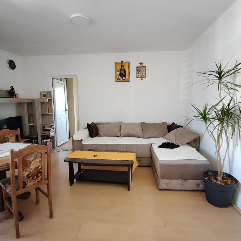 Georgije's apartment - One-Bedroom Apartment - 5