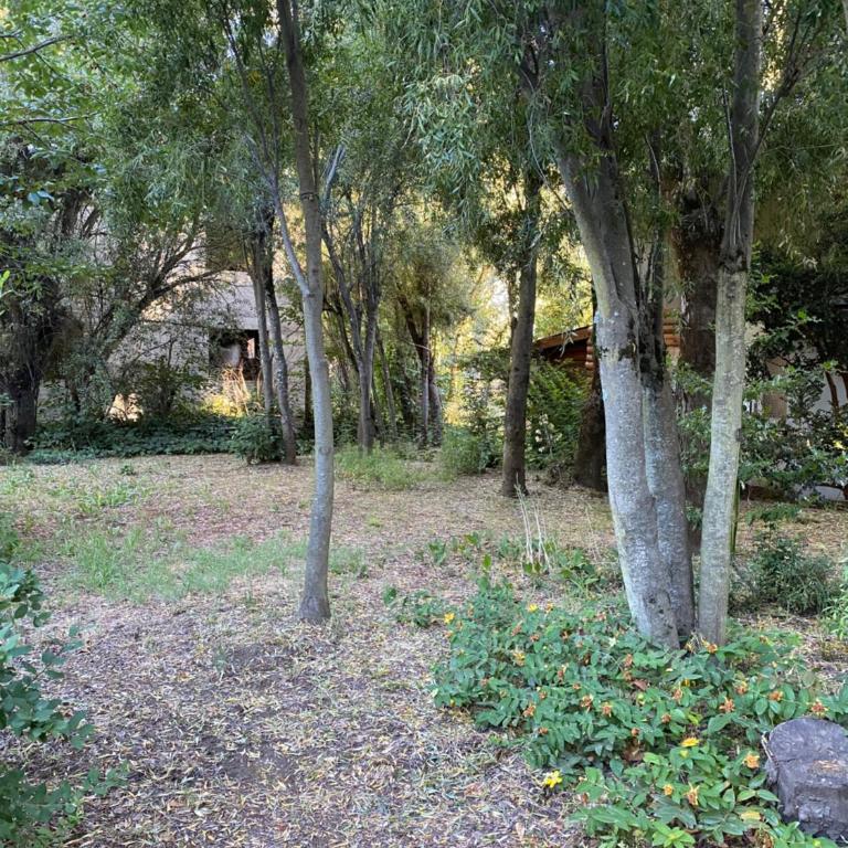 Casa estilo Campo - Habitación Doble con vistas al parque - 40