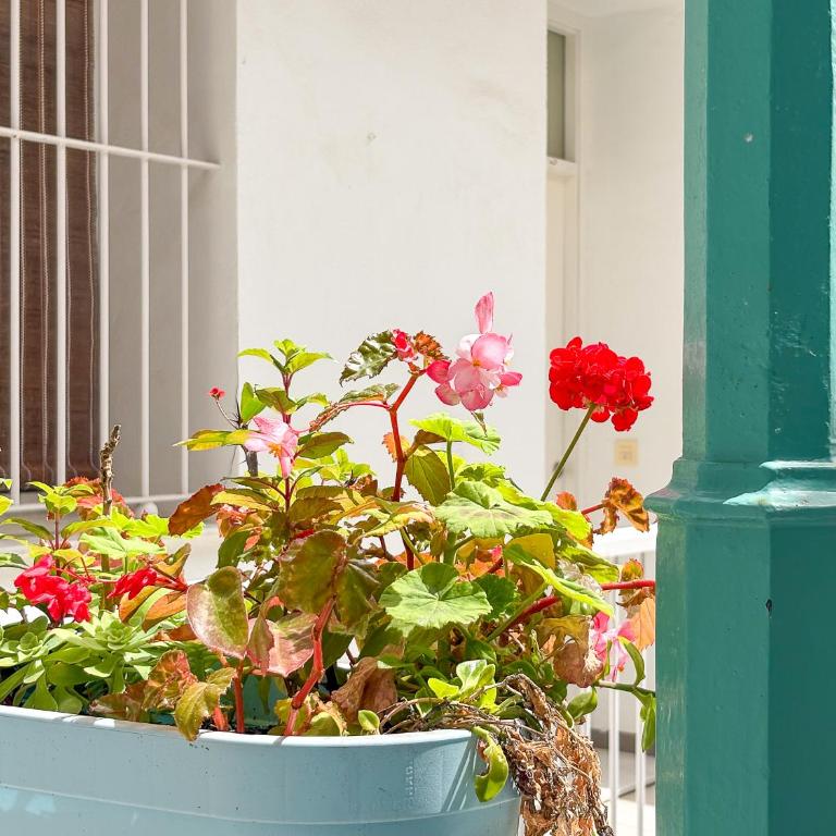 El Patio del Mar Grupo Ac Gestion - Apartamento de 2 dormitorios - 21