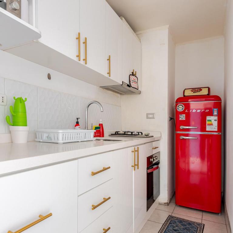 Único en Providencia Full Diseño 55m2 - Apartamento de 1 dormitorio - 13