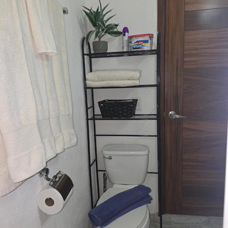 Quetzal - Two-Room Apartment - 15