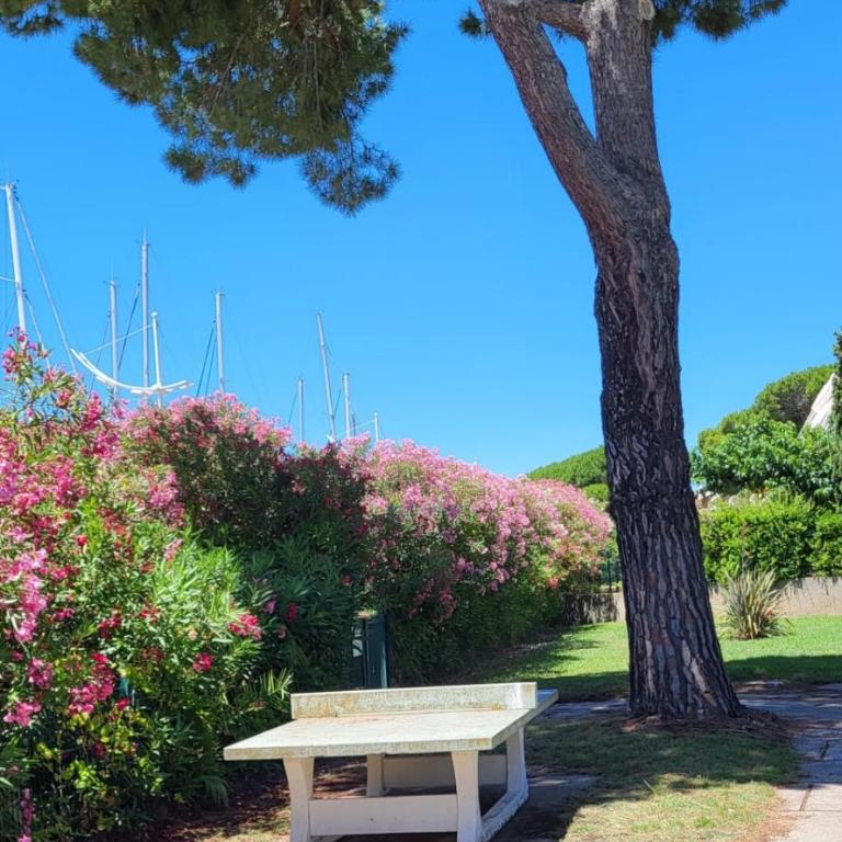 Les Jardins 2 Terrassepiscine sur Le Port de Plaisance 2 - Appartement - 23
