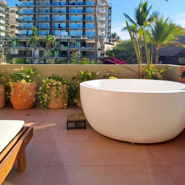 Musa Hotel Boutique - Suite Superior - 4
