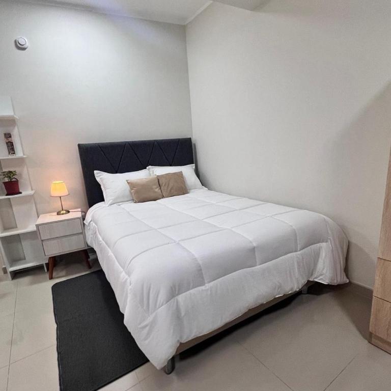 Monoambiente elegante ,moderno y luminoso - Apartamento de 1 dormitorio - 2