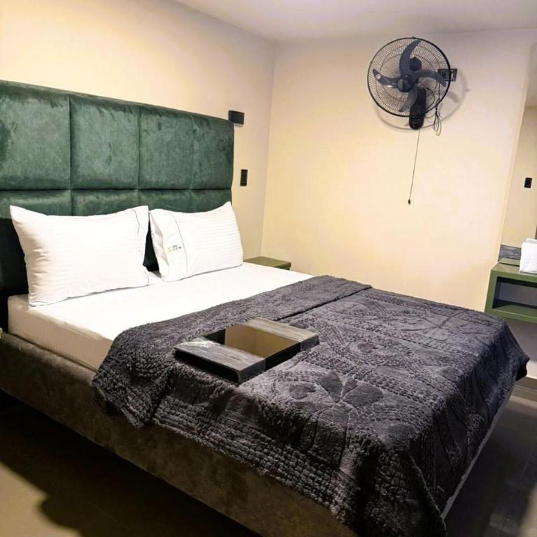 Hotel Green Gold - Single Room - 2