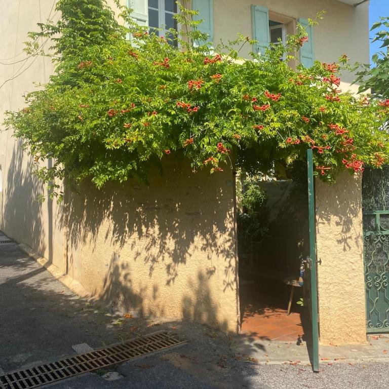 Une pause vacances - Appartement 1 Chambre - 2