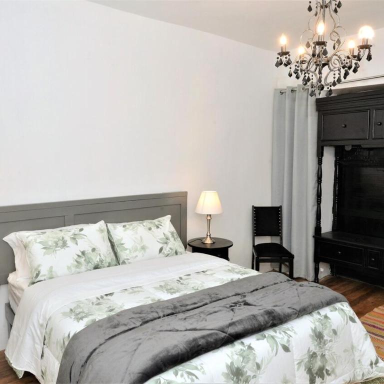 Cahuide departamento autentico, piso madera con patio - One-Bedroom Apartment - 11