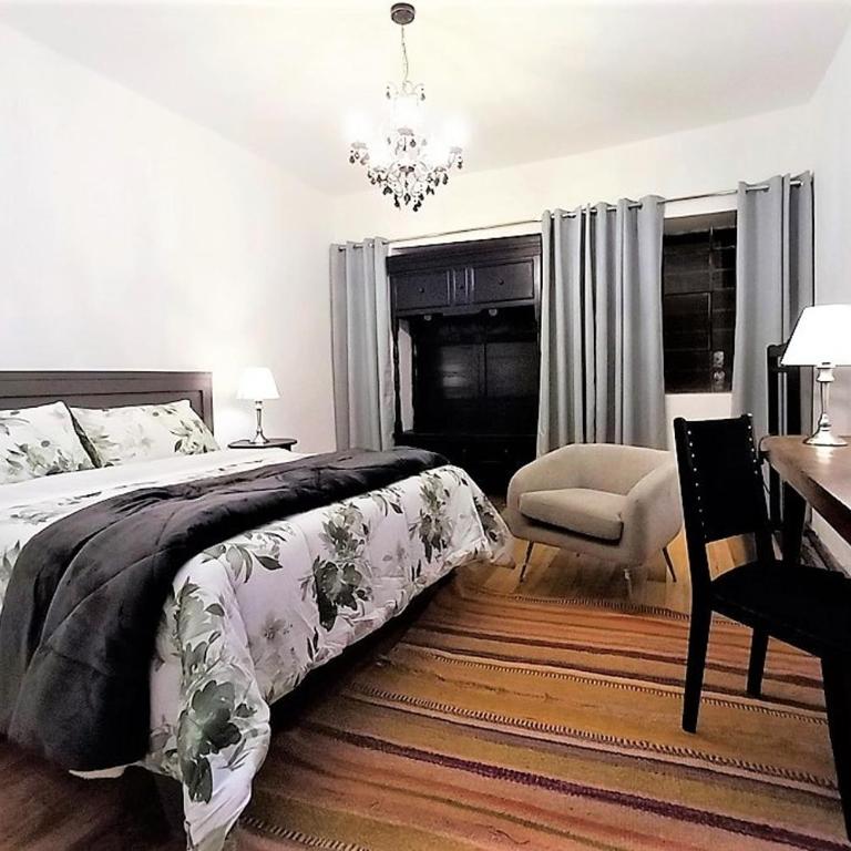 Cahuide departamento autentico, piso madera con patio - One-Bedroom Apartment - 13
