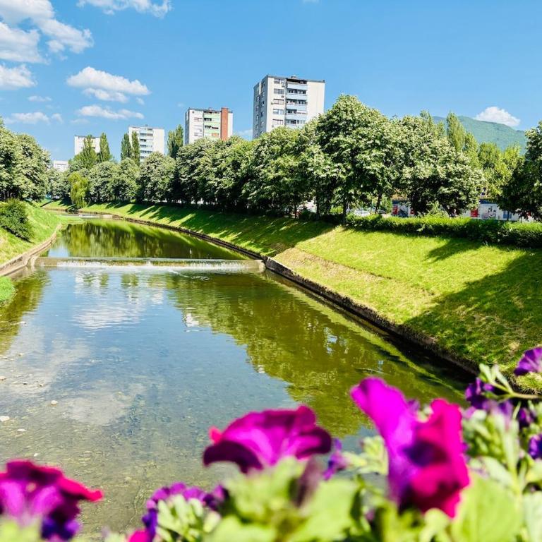 Sunshine Grbavica - Apartman sa 1 Spavaćom Sobom - 2