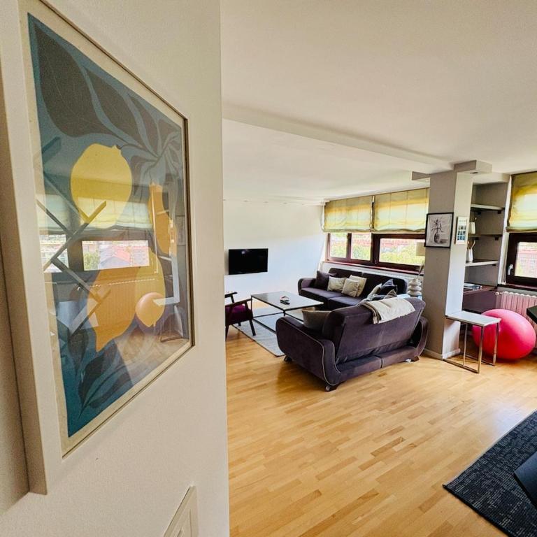 Sunshine Grbavica - Apartman sa 1 Spavaćom Sobom - 26