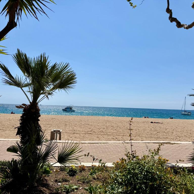 Fréjus Plage à deux pas du port et de la basilique de Saint Raphaël, restaurants, plages et marché nocturne - Appartamento con 1 Camera da Letto - 1