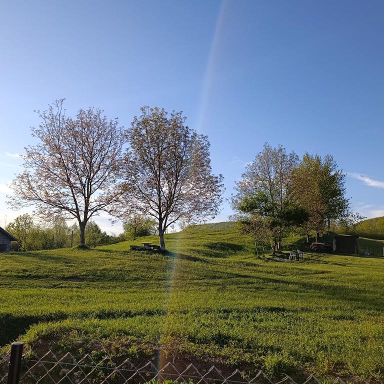 Vila Buby - One-Bedroom Villa - 10
