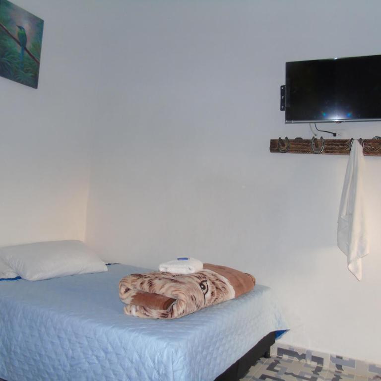 Vista Farallones Hostel - Bed in 4-Bed Mixed Dormitory Room - 4