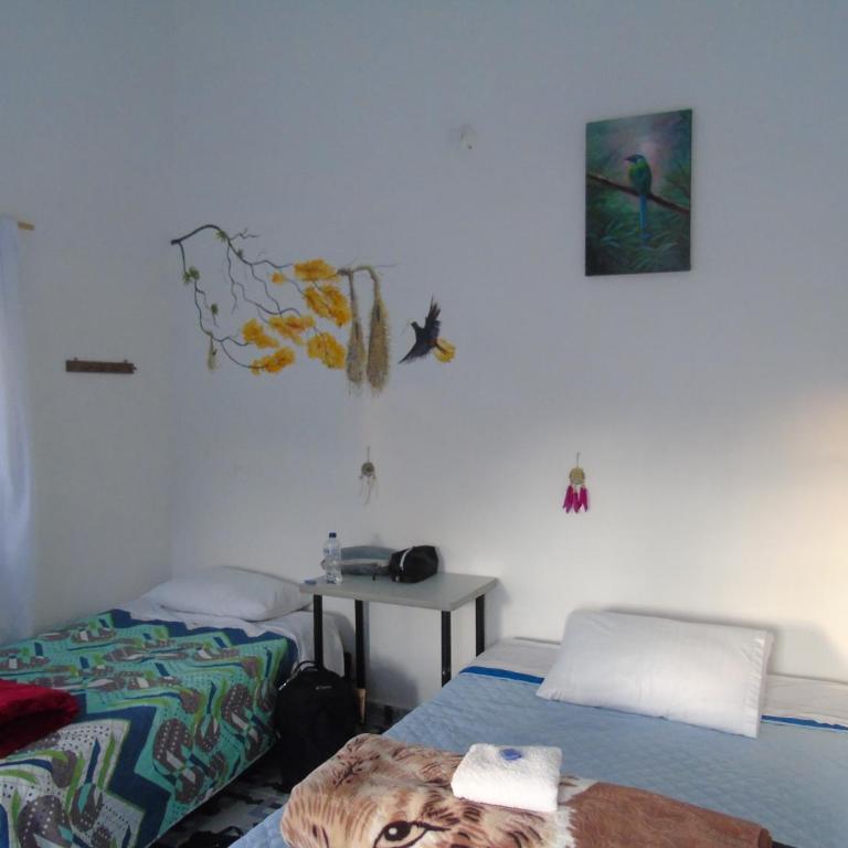 Vista Farallones Hostel - Bed in 4-Bed Female Dormitory Room - 5