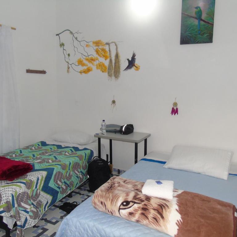 Vista Farallones Hostel - Bed in 4-Bed Female Dormitory Room - 6