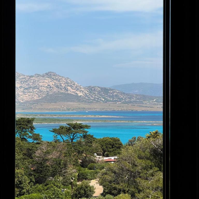 Appartamenti Vacanza L'Ancora - Stintino - Appartamento su 2 Livelli - 4