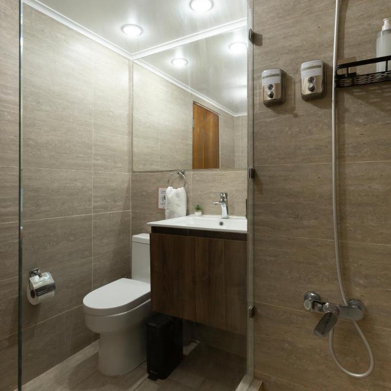 Amplio dpto a pasos del Costanera Center y MUT en Las Condes con Aire Acondicionado - Three-Bedroom Apartment - 42