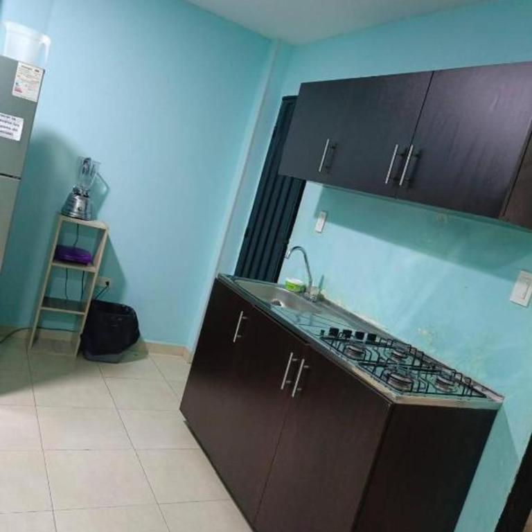 Apartamentos Erica 201 en el Centro histórico de Santa Marta - Apartamento de 1 dormitorio - 5