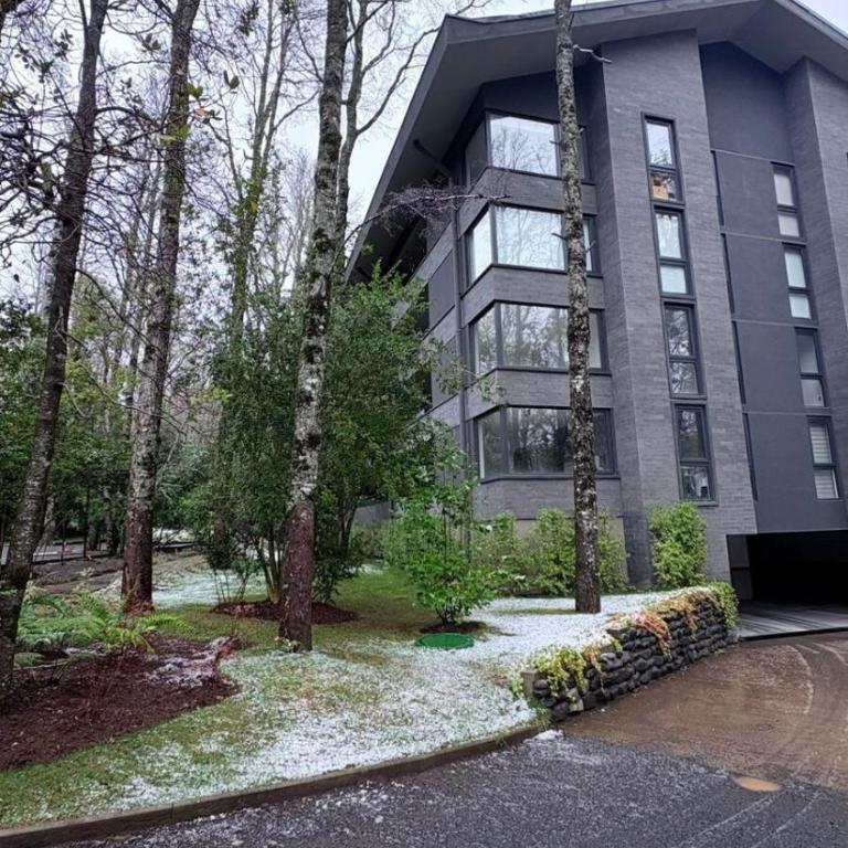 Nuevo Departamento Pucon - Los Boldos - Two-Bedroom Apartment - 9