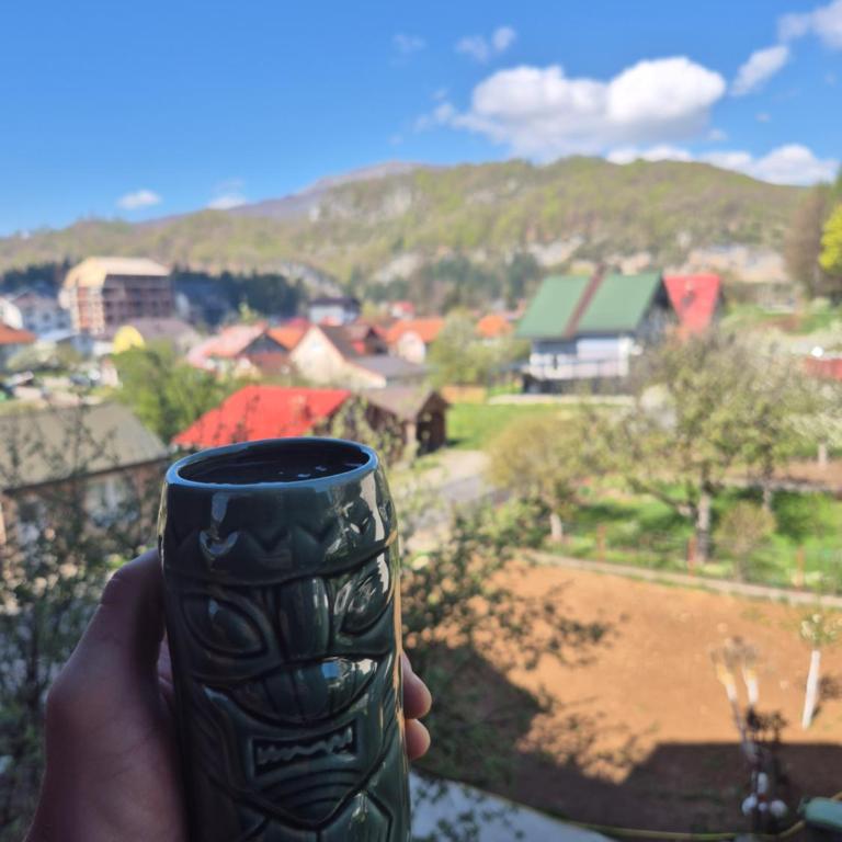 Cozy Place Kolašin - Central Mountain Retreat - One-Bedroom Apartment with Garden View - 21