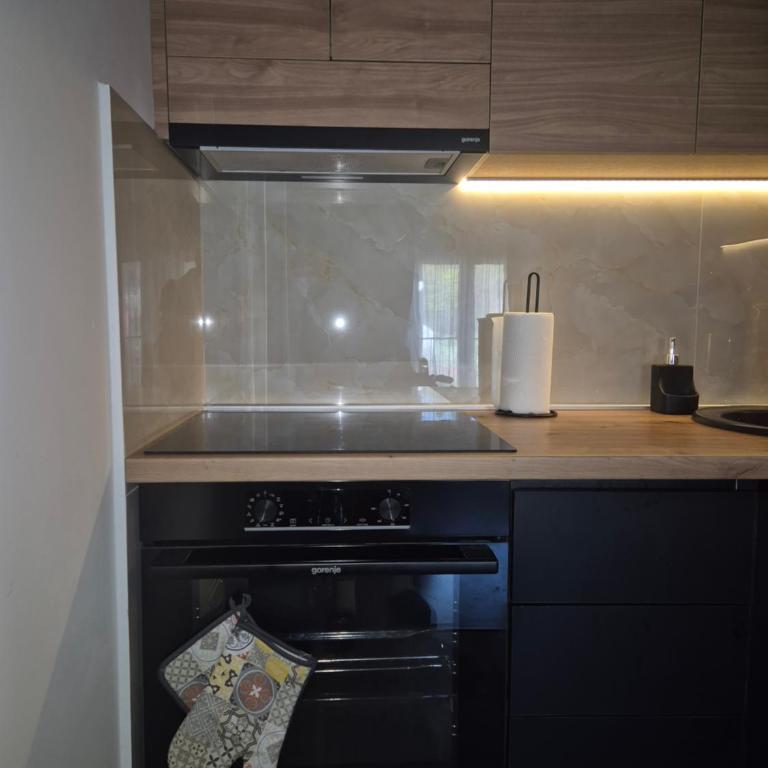 Cozy Place Kolašin - Central Mountain Retreat - One-Bedroom Apartment with Garden View - 6