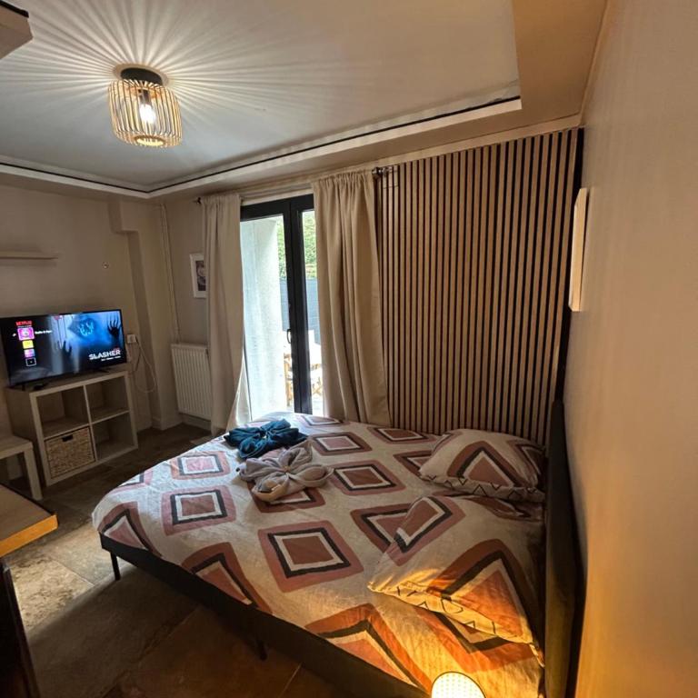 Petit studio et son spa abrité - Apartamento de 1 dormitorio - 15